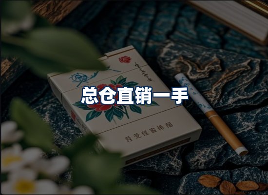 专业团队办公环境